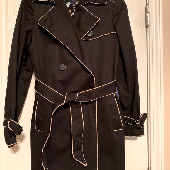 Meet your Posher, Chiquita - Picture 3 of 16